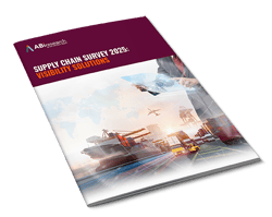 Supply Chain Survey 2025: Visibility Solutions